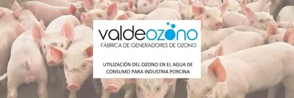 valdeozono_tratamiento.webp