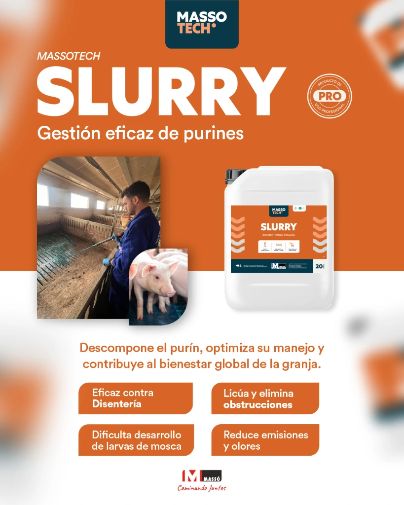 Slurry RRSS-1.webp