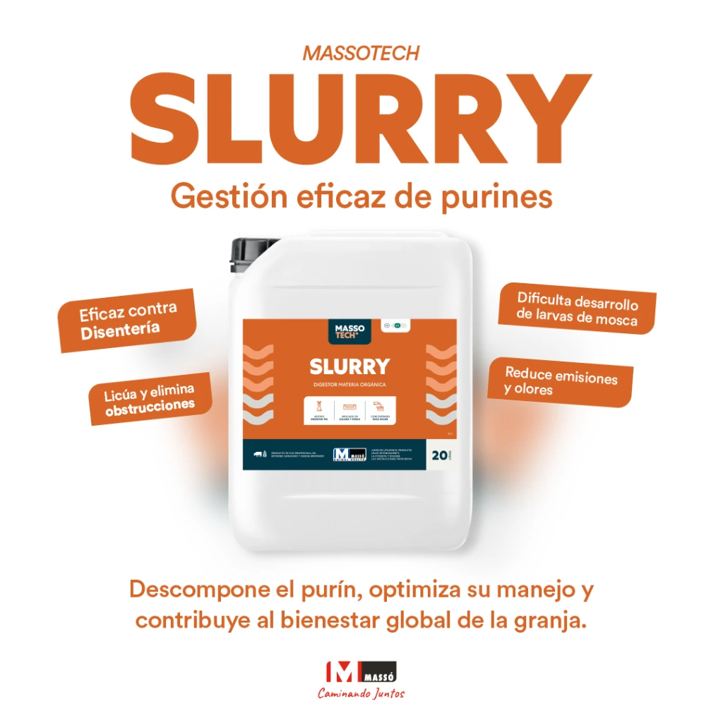 Slurry RRSS-8.webp