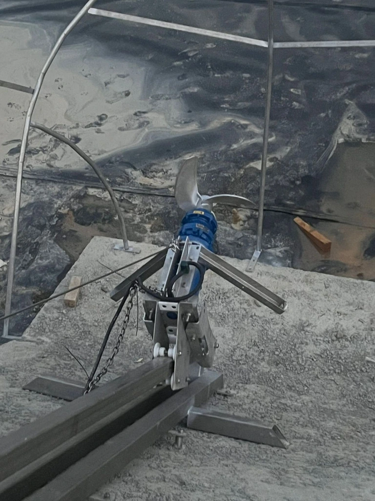 WhatsApp Image 2025-12-10 at 16.38.52 (2).webp